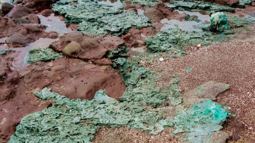 Fotky překvapivého objevu: Plastové kameny z ostrova uprostřed Atlantiku